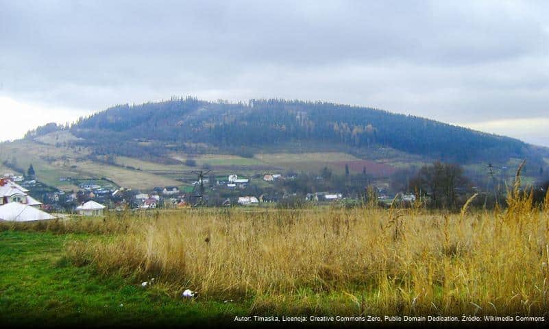 Wilkowiec (Wzgórza Włodzickie)